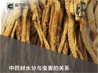 《森羅萬象》，萬象包羅 第3問